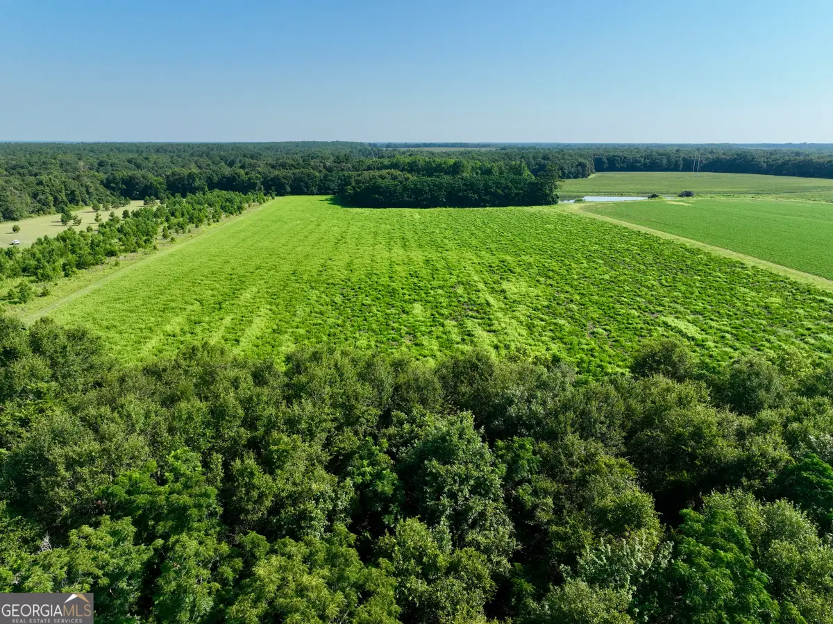 0 Vienna Highway, Hawkinsville, GA 31036 - #1