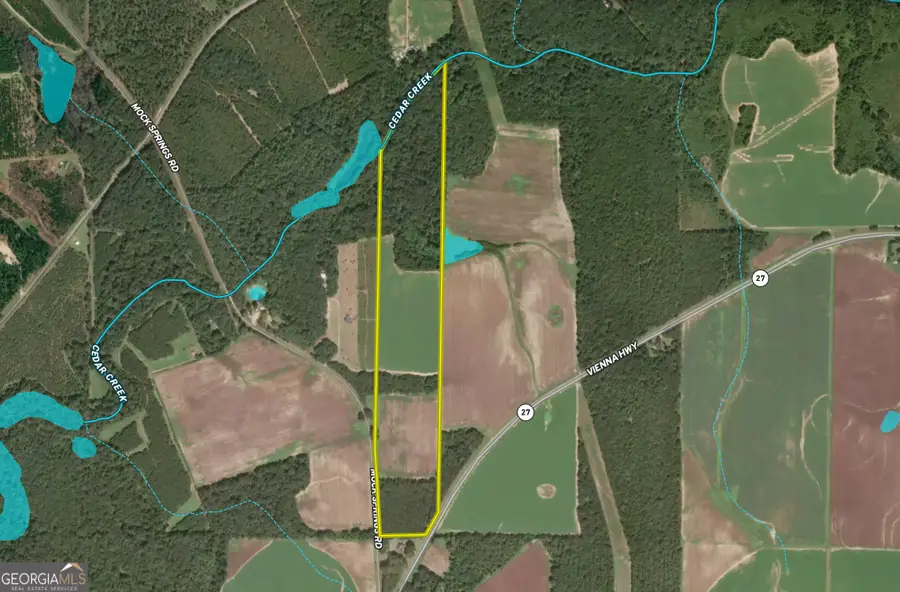 0 Vienna Highway, Hawkinsville, GA 31036 - #3