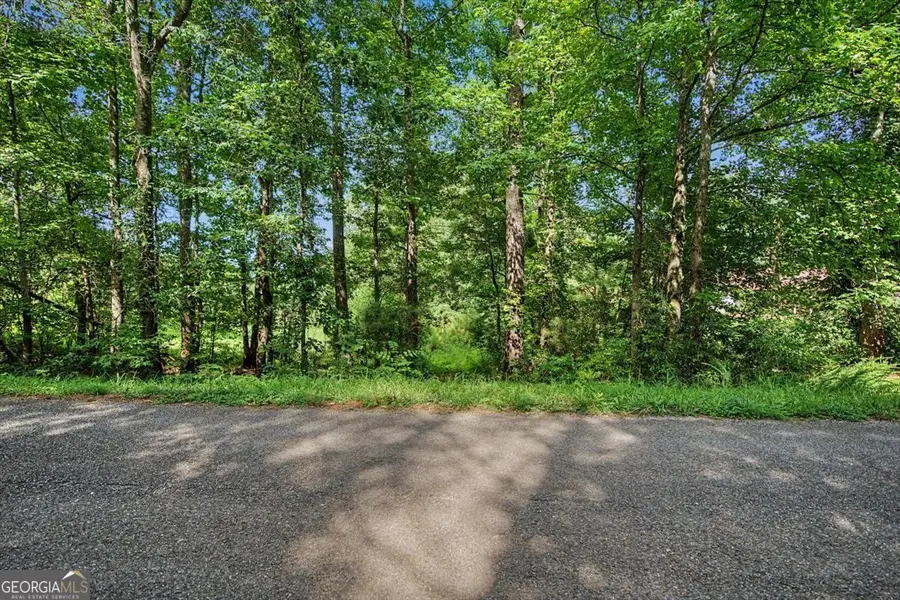 0 Windom Road, Tallapoosa, GA 30176 - #2