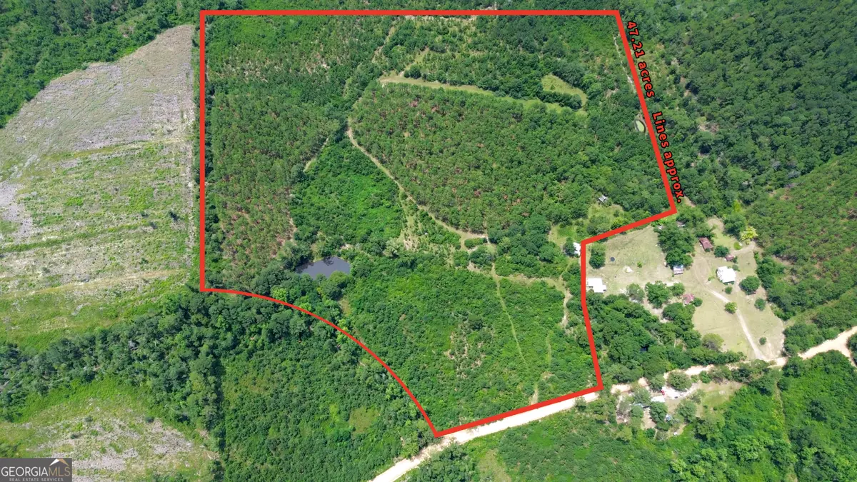 0 Webb Cemetery Road, McRae-helena, GA 31055 - #1