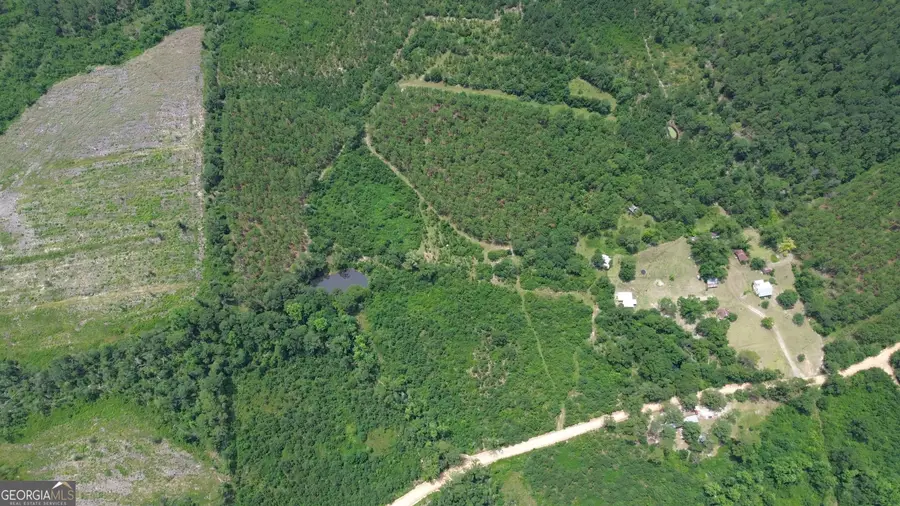 0 Webb Cemetery Road, McRae-helena, GA 31055 - #2