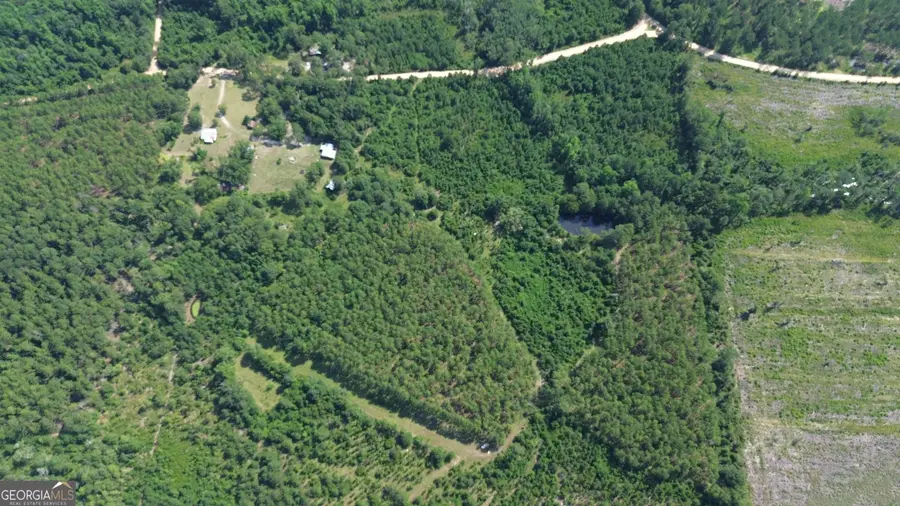 0 Webb Cemetery Road, McRae-helena, GA 31055 - #3