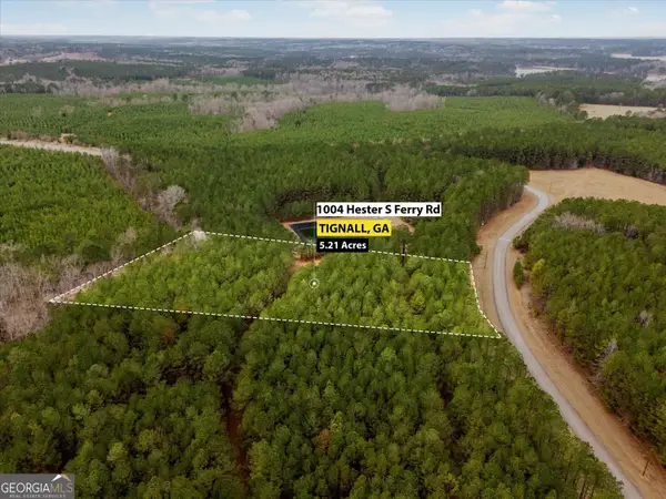 1004 Hesters Ferry Road, Tignall, GA 30668