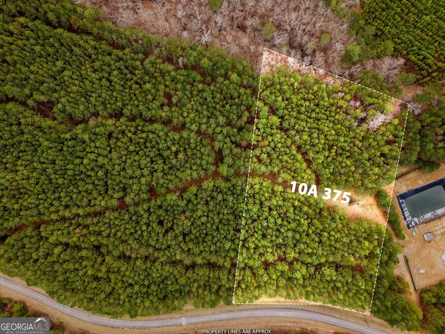 1004 Hesters Ferry Road, Tignall, GA 30668 - #3