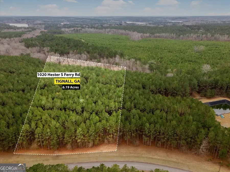 1020 Hesters Ferry Road, Tignall, GA 30668 - #2