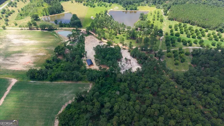 2218 Pittman Road, Cobbtown, GA 30420 - #2
