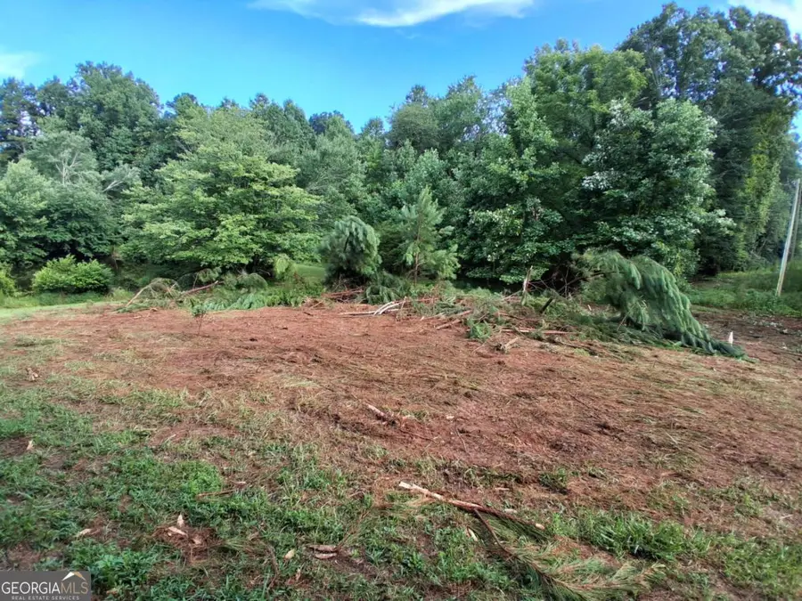 0 Blackberry Mountain Road, Ellijay, GA 30536 - #2