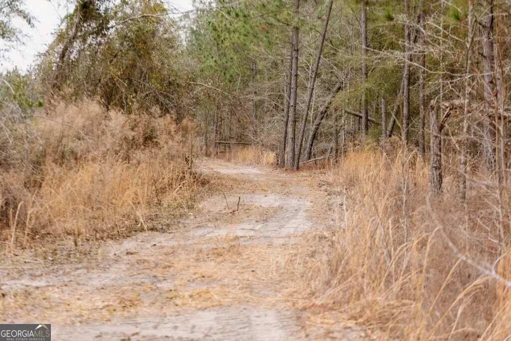 0 Bunn Store Road #TRACT 2, Midville, GA 30441 - #1