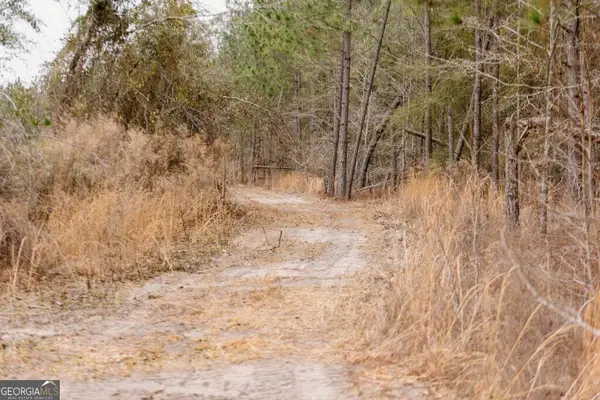 0 Bunn Store Road #TRACT 2, Midville, GA 30441