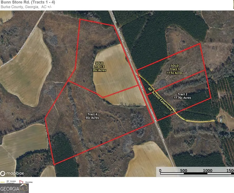 0 Bunn Store Road #TRACT 2, Midville, GA 30441 - #2
