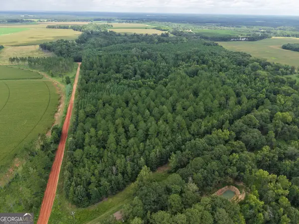 775 Fains Hatchery Road, Edison, GA 39846