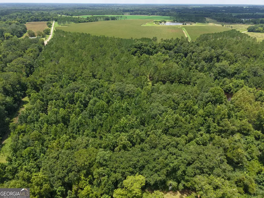775 Fains Hatchery Road, Edison, GA 39846 - #2