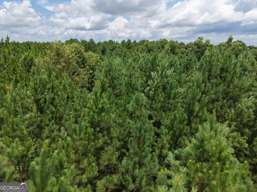 775 Fains Hatchery Road, Edison, GA 39846 - #3