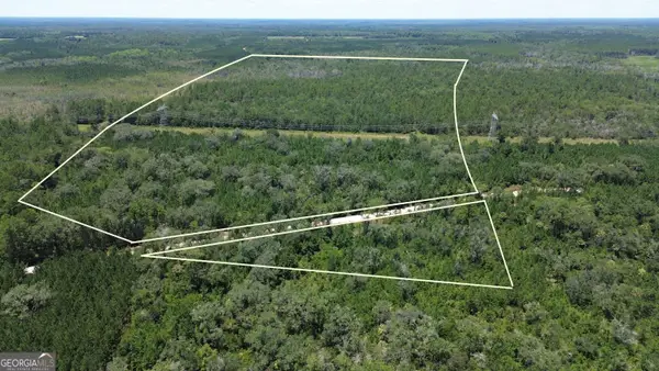 TRACT A Butler Johnson Road, White Oak, GA 31568