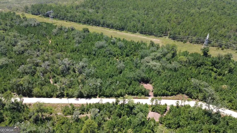TRACT A Butler Johnson Road, White Oak, GA 31568 - #3