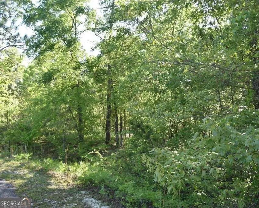 LOT 27 Chestnut Lane, Garfield, GA 30425 - #1