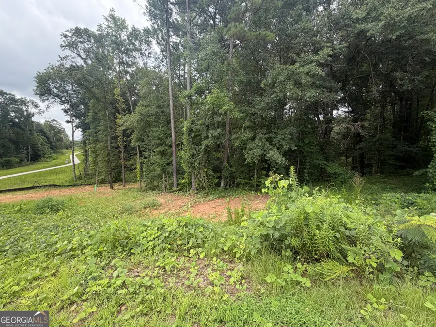 1680 Kilcrease Road, Bethlehem, GA 30620 - #2