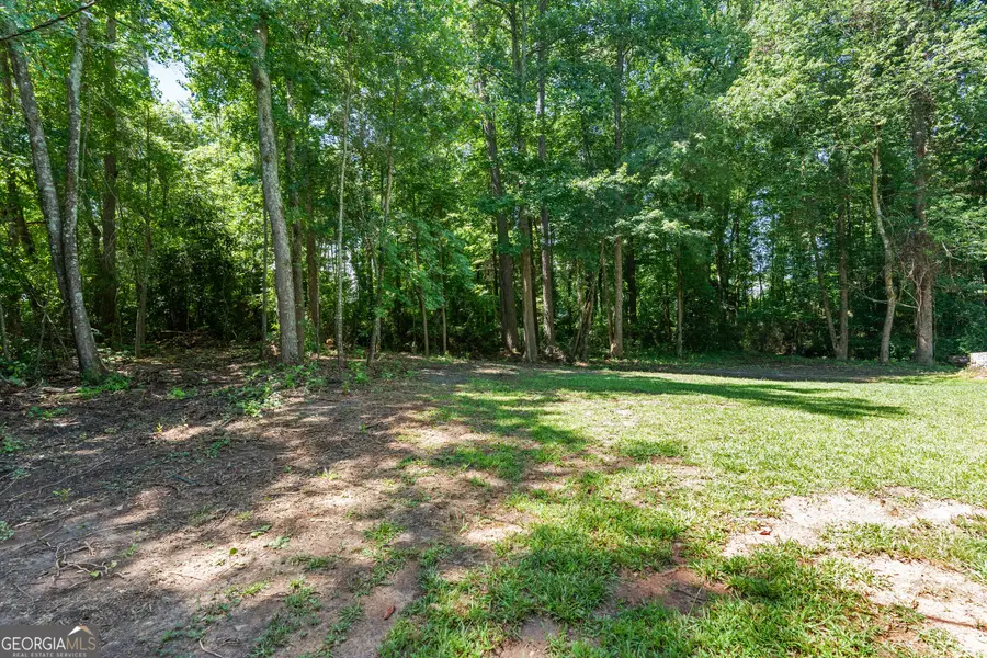 255 Ben Perkins Drive, Bowdon, GA 30108 - #3