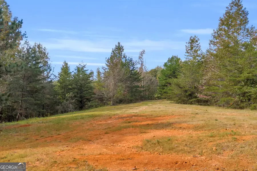 TR 6 Turner Road, Cleveland, GA 30528 - #2