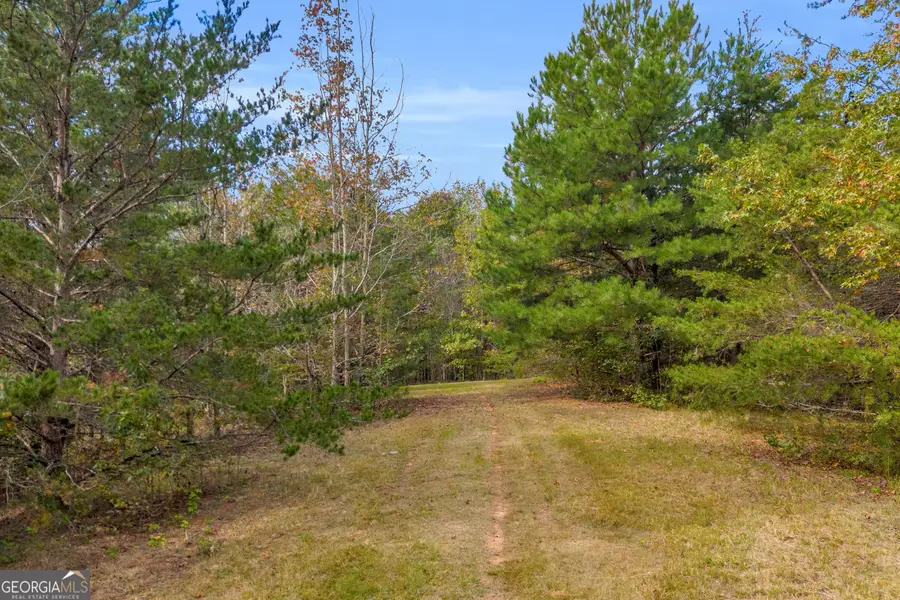 TR 6 Turner Road, Cleveland, GA 30528 - #3