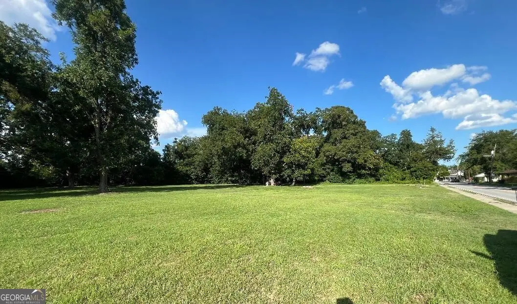 6 Denmark Street, Statesboro, GA 30458 - #1