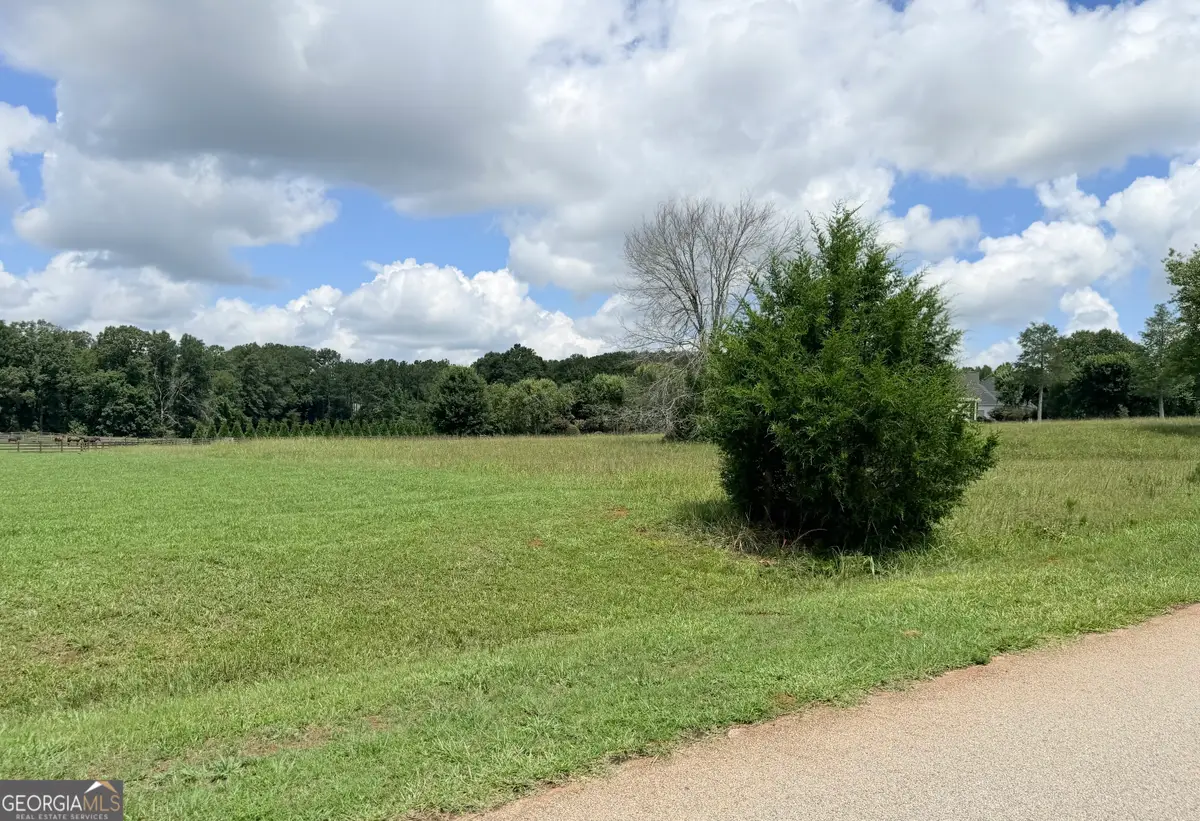 15 Meadow View Court, Social Circle, GA 30025 - #1