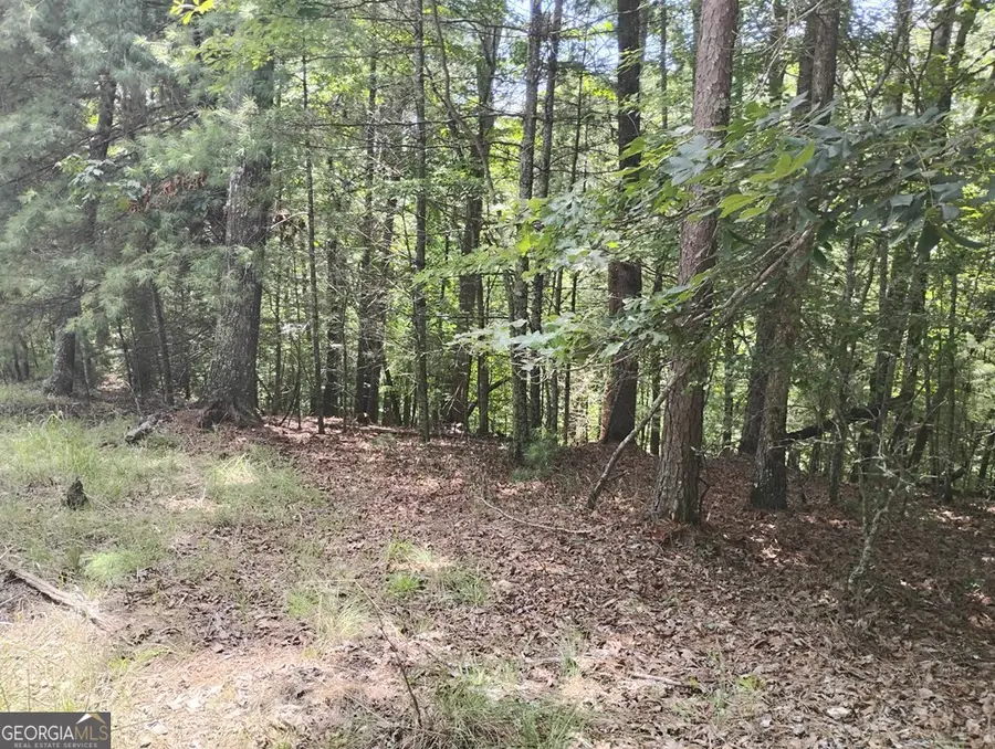 0 Crystal Lane #3284, Ellijay, GA 30540 - #3