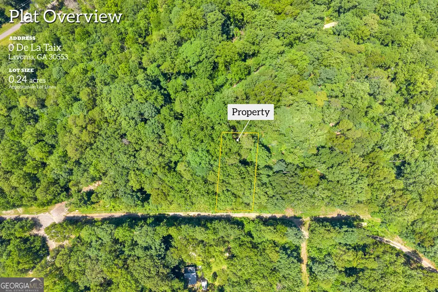 0 De La Taix Drive, Lavonia, GA 30553 - #2
