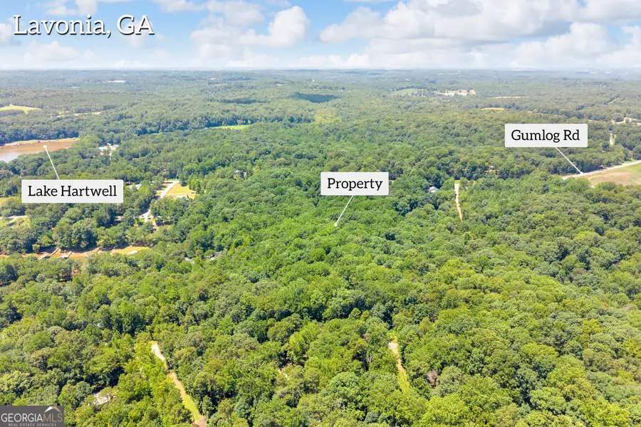 0 De La Taix Drive, Lavonia, GA 30553 - #3