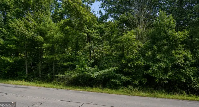 LOT 38 Shattuck Industrial Boulevard, Lafayette, GA 30728 - #3
