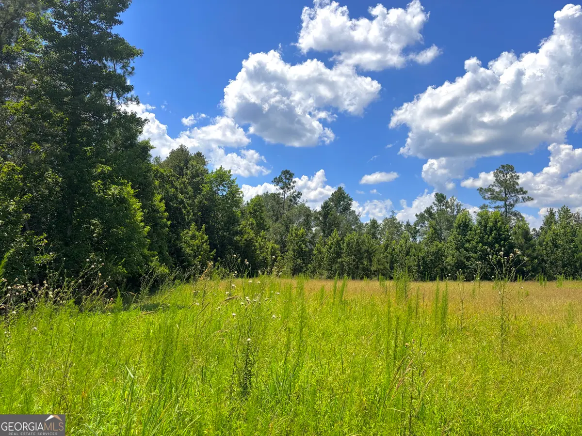 0 Ernest Carter Road, Hazlehurst, GA 31539 - #1