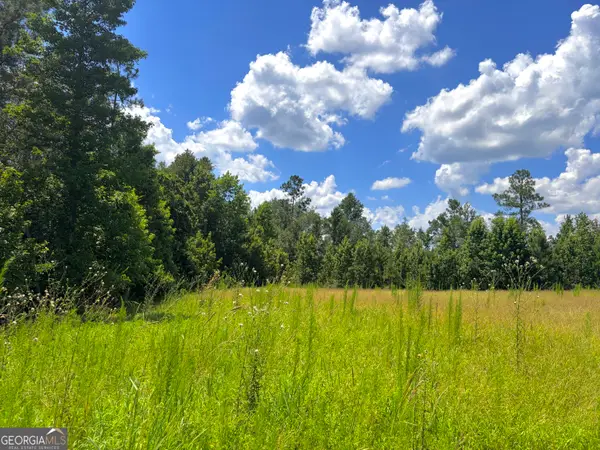 0 Ernest Carter Road, Hazlehurst, GA 31539