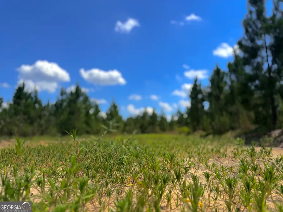 0 Ernest Carter Road, Hazlehurst, GA 31539 - #2