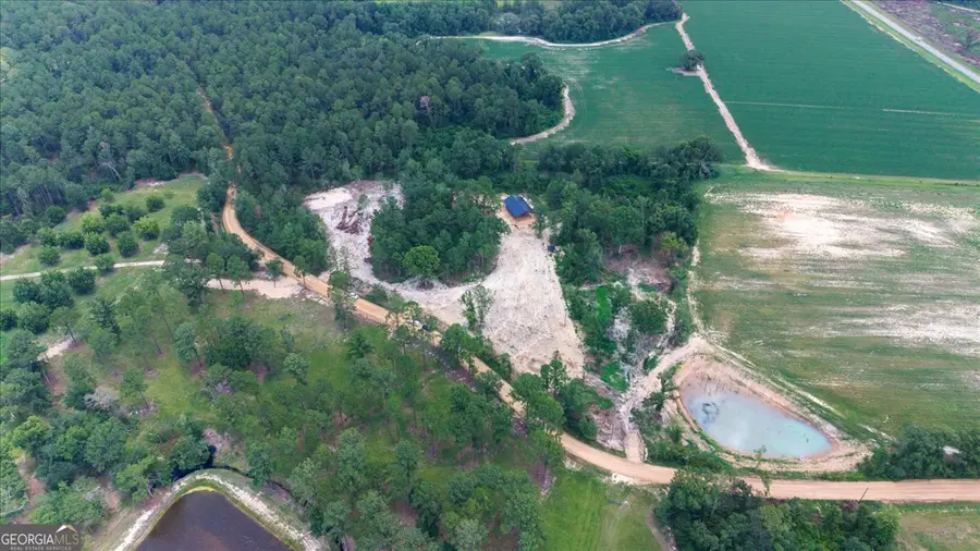 0 Pittman Road, Cobbtown, GA 30420 - #2