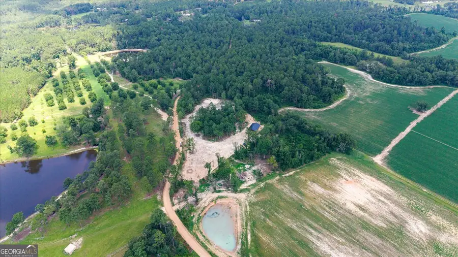0 Pittman Road, Cobbtown, GA 30420 - #3