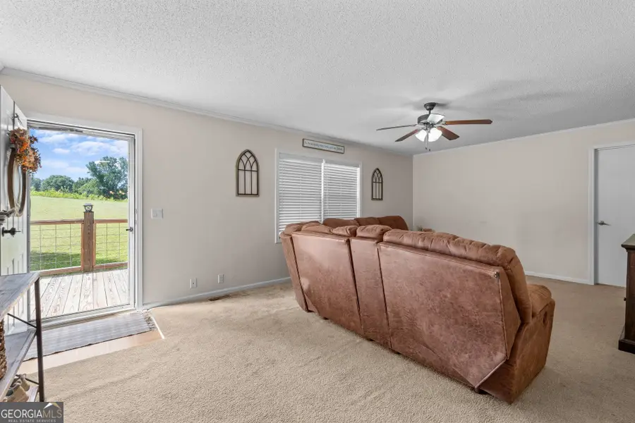 480 Thomas Street, Roopville, GA 30170 - #3