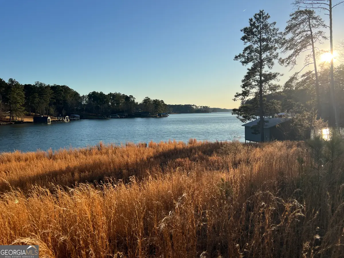 LOT 4 Sugar Bear Road, Sparta, GA 31087 - #1