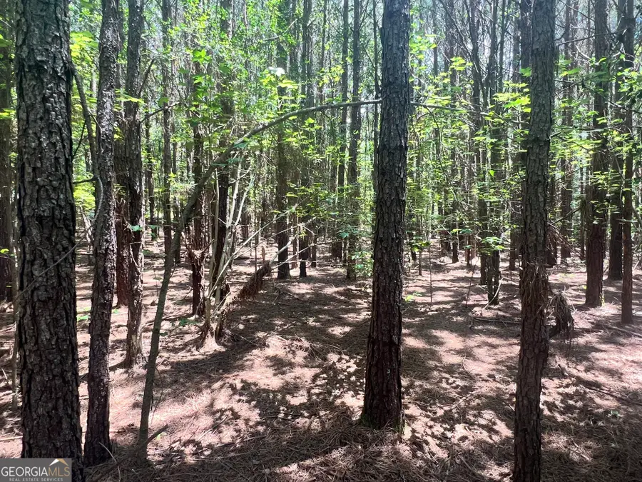 0 Seabolt Drive, Locust Grove, GA 30248 - #3