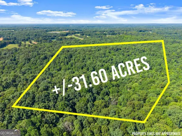 0 Prospect Road, Carnesville, GA 30521