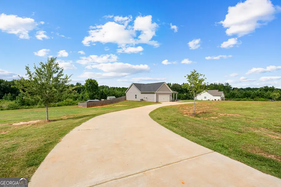 732 Tenney Nelson Road, Grantville, GA 30220 - #2