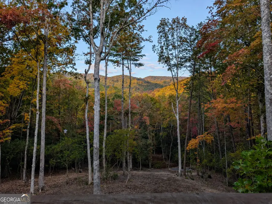 195 Moonshine Way, Blue Ridge, GA 30513 - #2