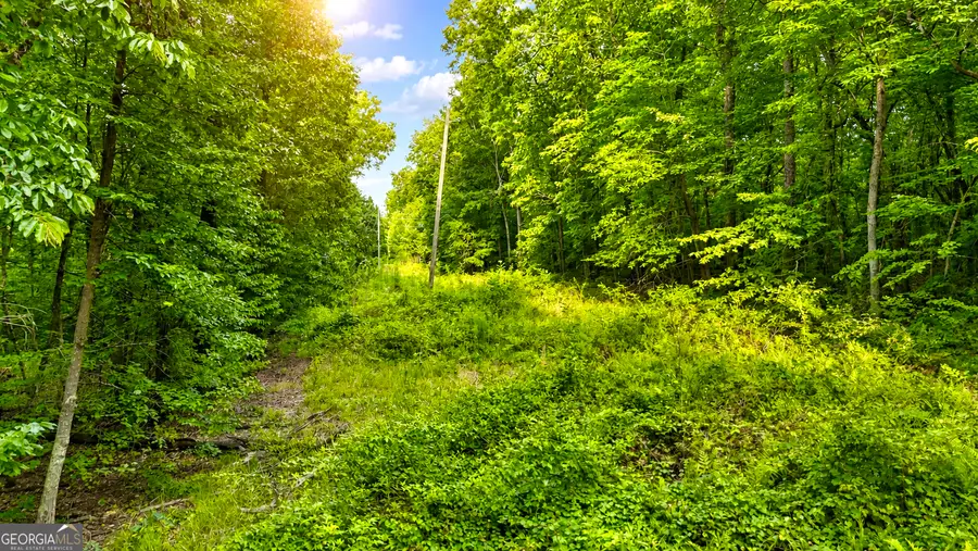 0 Highway 2 Parcel 1120913000, Cohutta, GA 30710 - #2