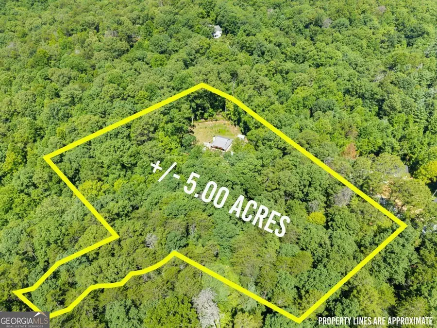 189 Peace Valley Road, Dahlonega, GA 30533 - #3