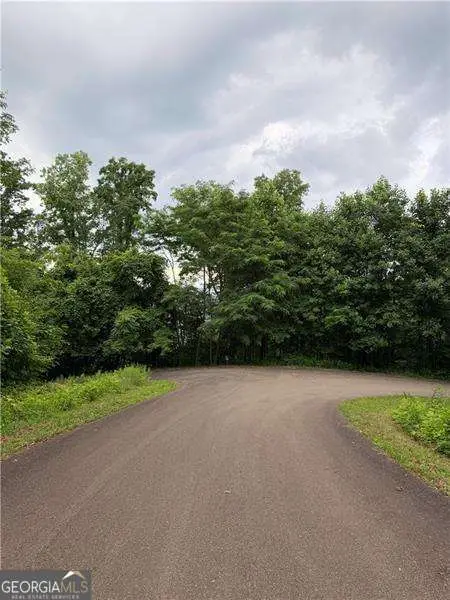 0 Andes Ridge Parkway #LOT 288, Jasper, GA 30143 - #3