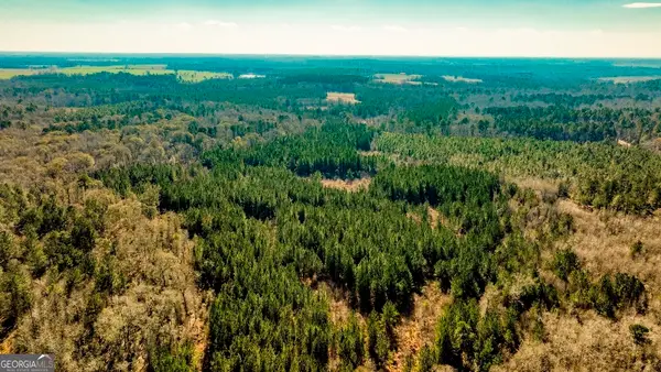 0 Crooked Road #TRACT 1, Millen, GA 30442