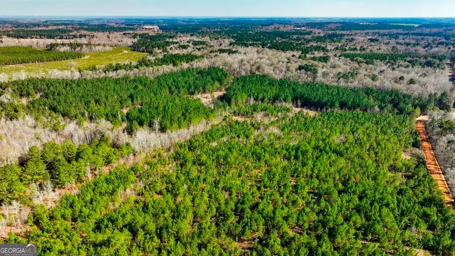 0 Crooked Road #TRACT 2, Millen, GA 30442 - #2