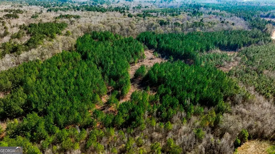 0 Crooked Road #TRACT 2, Millen, GA 30442 - #3