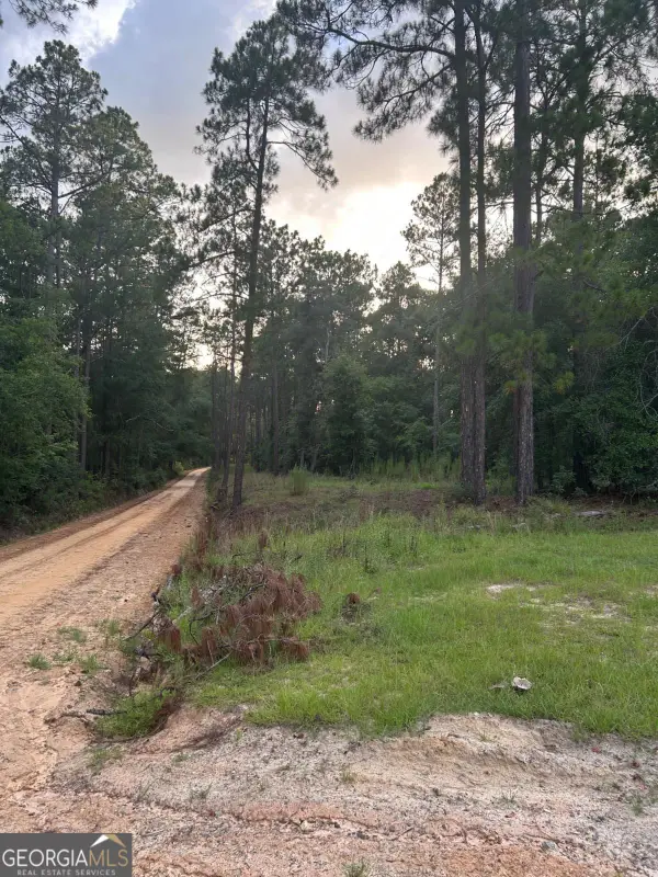 0 Edenfield Road, Twin City, GA 30471