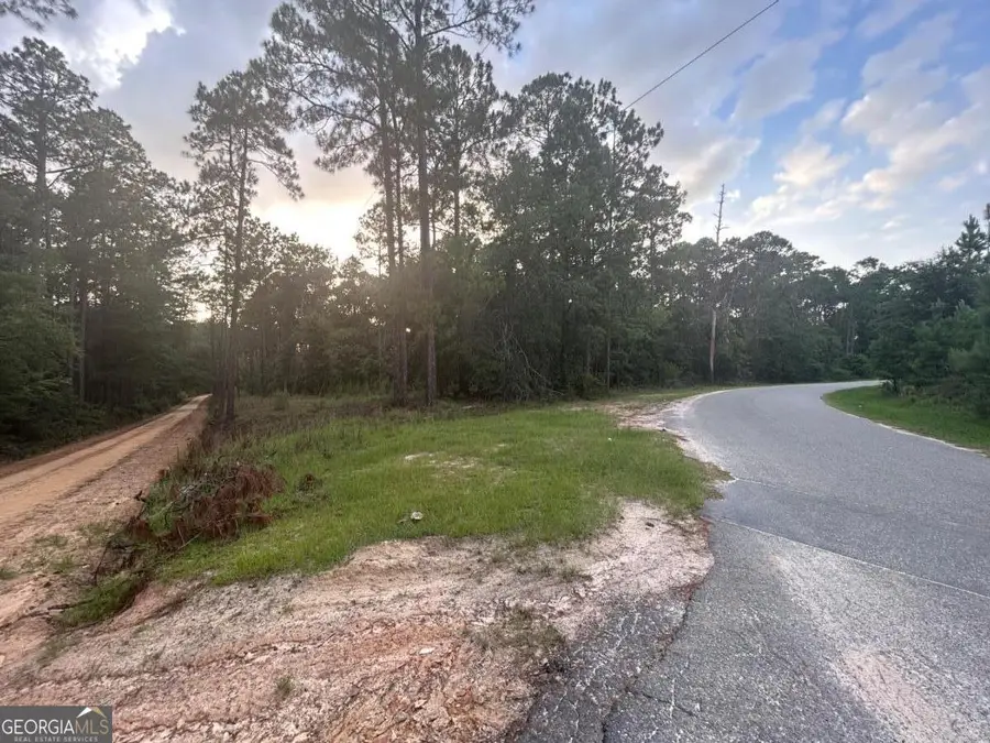 0 Edenfield Road, Twin City, GA 30471 - #3
