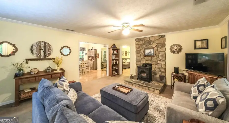 712 Honeysuckle Lane, Temple, GA 30179 - #3